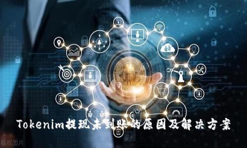 Tokenim提现未到账的原因及解决方案