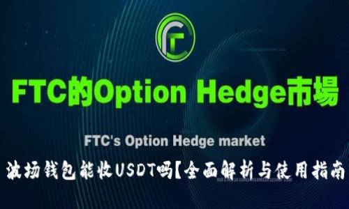 波场钱包能收USDT吗？全面解析与使用指南