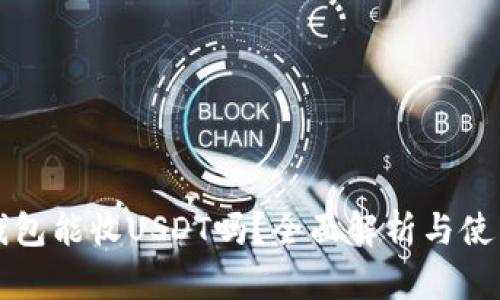 波场钱包能收USDT吗？全面解析与使用指南
