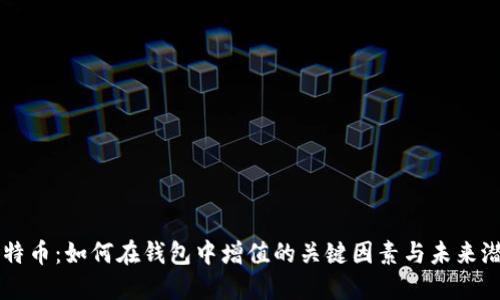 比特币：如何在钱包中增值的关键因素与未来潜力