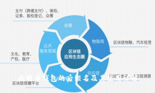 比特币钱包的后缀名及其使用详解
