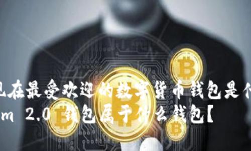 经济，现在最受欢迎的数字货币钱包是什么？  
Tokenim 2.0 钱包属于什么钱包？