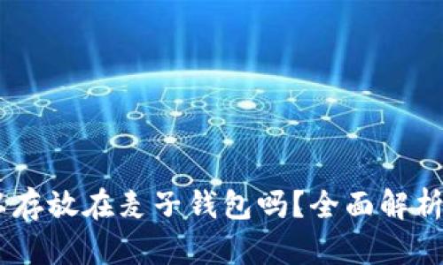 SHIB币可以存放在麦子钱包吗？全面解析与安全指南