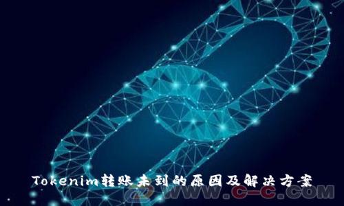 Tokenim转账未到的原因及解决方案