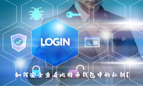 如何安全查看比特币钱包中的私钥？