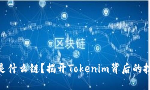 Tokenim是什么链？揭开Tokenim背后的技术与应用