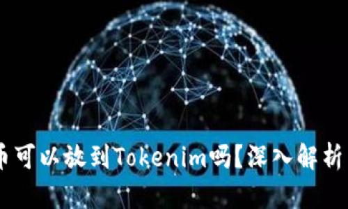 ## 狗狗币可以放到Tokenim吗？深入解析与使用指南