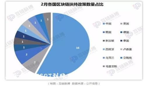 麦子钱包USDT到账延迟的原因与解决方案