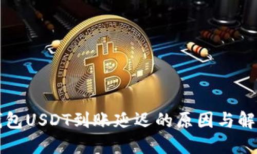 麦子钱包USDT到账延迟的原因与解决方案