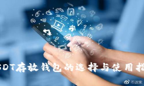USDT存放钱包的选择与使用指南