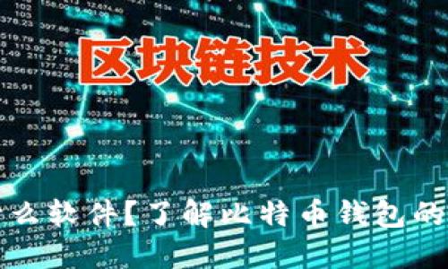 比特币钱包是什么软件？了解比特币钱包的功能与选择技巧