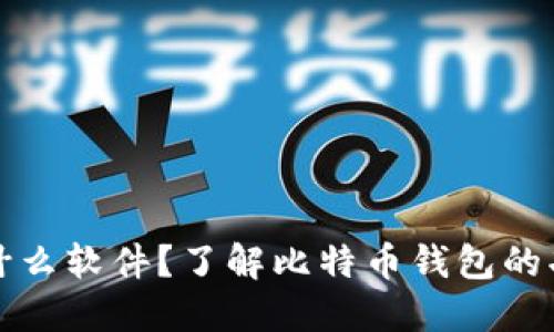 比特币钱包是什么软件？了解比特币钱包的功能与选择技巧