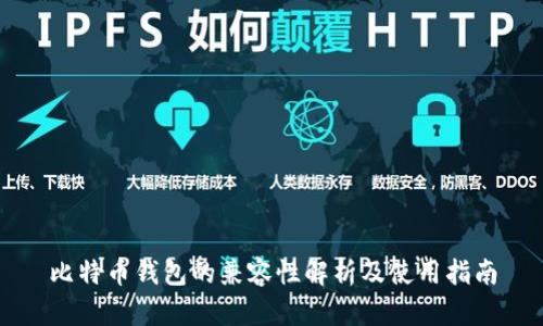 比特币钱包的兼容性解析及使用指南
