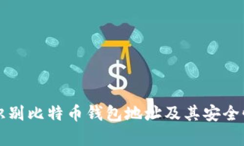 如何识别比特币钱包地址及其安全性分析