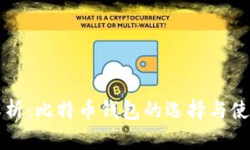 全面解析：比特币钱包的选择与使用指南