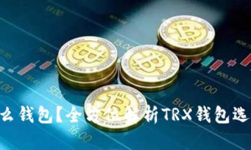 TRX波场用什么钱包？全方位解析TRX钱包选择与使用指南
