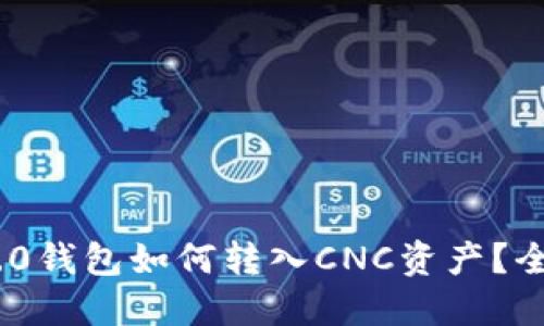 Tokenim 2.0钱包如何转入CNC资产？全面详解指南