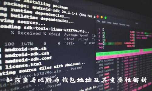 如何查看比特币钱包地址及其重要性解析