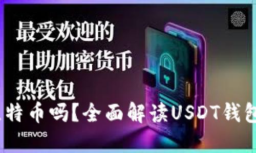 USDT钱包能放比特币吗？全面解读USDT钱包与比特币的关系