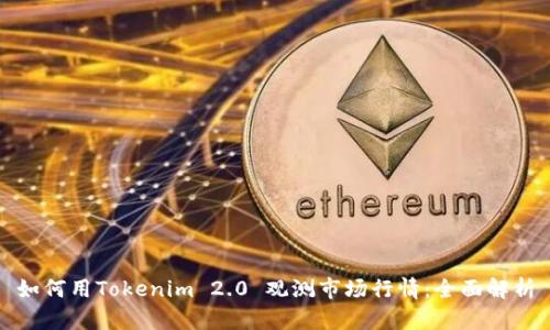 如何用Tokenim 2.0 观测市场行情：全面解析