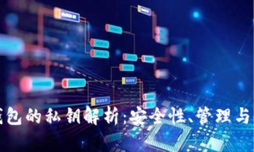 比特币钱包的私钥解析：安全性、管理与使用技巧