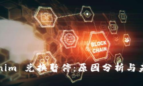 : Tokenim 兑换暂停：原因分析与未来展望
