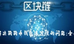 如何解决狗狗币钱包速度慢的问题：全面指南