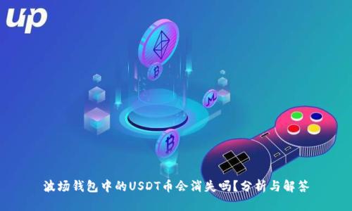 波场钱包中的USDT币会消失吗？分析与解答