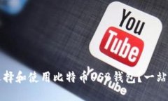 如何选择和使用比特币USB钱包？一站式指南