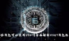 哪些钱包可以使用USDT？全面解析USDT钱包选择