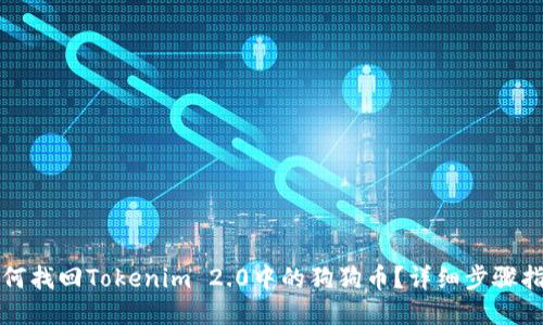 如何找回Tokenim 2.0中的狗狗币？详细步骤指南