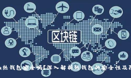 Tokenim热钱包安全吗？深入解析热钱包的安全性及防护措施