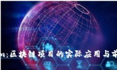 Tokenim：区块链项目的实际应用与前景分析
