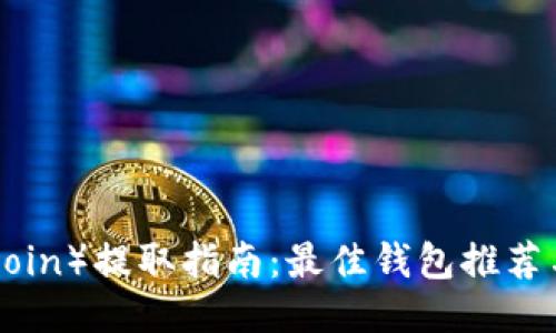 屎币（Shitcoin）提取指南：最佳钱包推荐与使用技巧