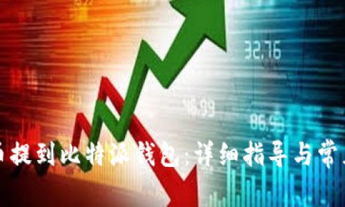 如何将猪币提到比特派钱包：详细指导与常见问题解答