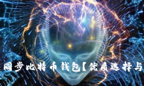 如何快速同步比特币钱包？优质选择与操作指南