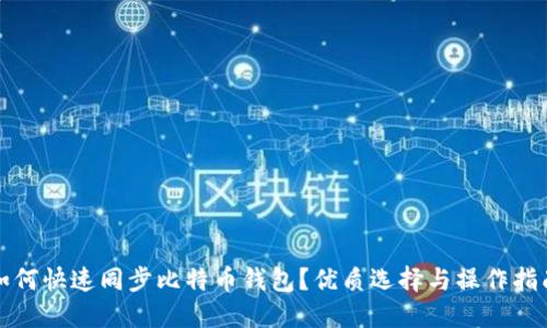 如何快速同步比特币钱包？优质选择与操作指南