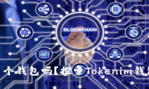 Tokenim可以注册多个钱包吗？探索Tokenim钱包的多账户管理功能