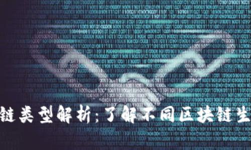 Tokenim的链类型解析：了解不同区块链生态及其应用