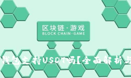 Token.im钱包支持USDT吗？全面解析与使用指南
