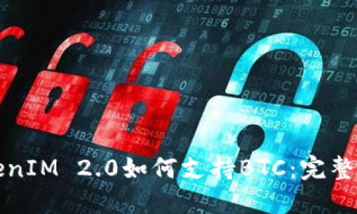 TokenIM 2.0如何支持BTC：完整指南