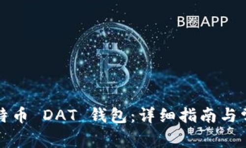 如何打开比特币 DAT 钱包：详细指南与常见问题解析