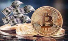 USDT钱包互转需要手续费吗？全面解析及使用指南