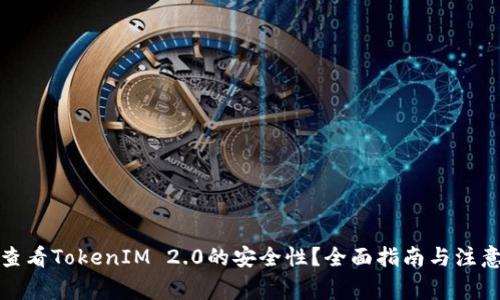 如何查看TokenIM 2.0的安全性？全面指南与注意事项