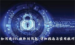 如何将SOL提取到钱包：详细指南与实用技巧
