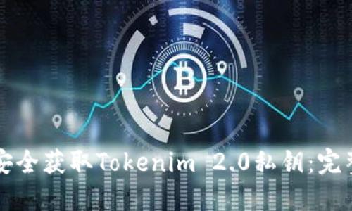 如何安全获取Tokenim 2.0私钥：完整指南