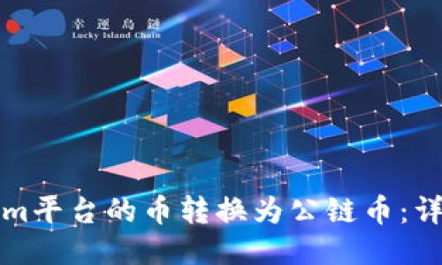 如何将Tokenim平台的币转换为公链币：详细步骤与指南