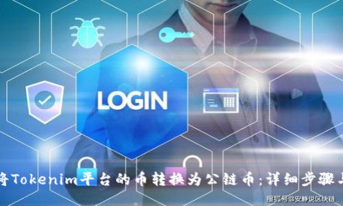 如何将Tokenim平台的币转换为公链币：详细步骤与指南