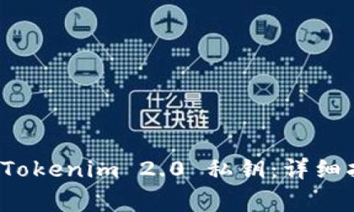 如何安全导出 Tokenim 2.0 私钥：详细指南与注意事项