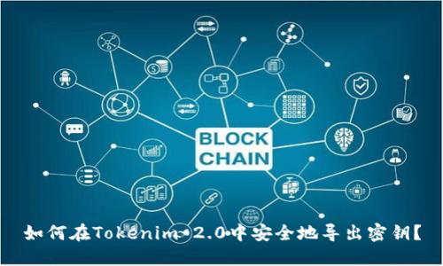 如何在Tokenim 2.0中安全地导出密钥？